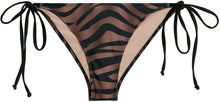 Load image into Gallery viewer, Bronze Tiger Classic Scrunch Bottom